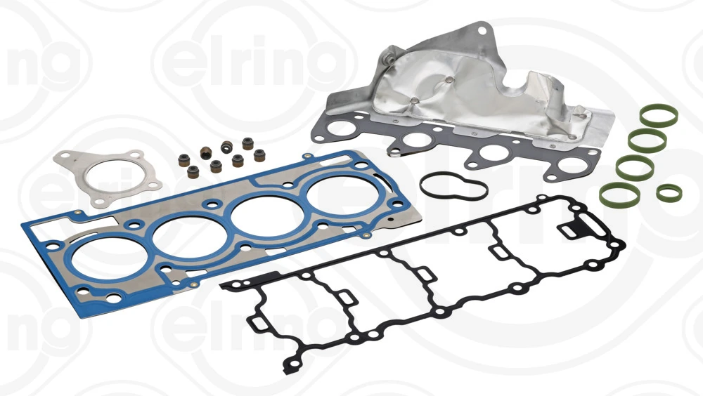 Set garnituri, chiulasa ELRING 313.661