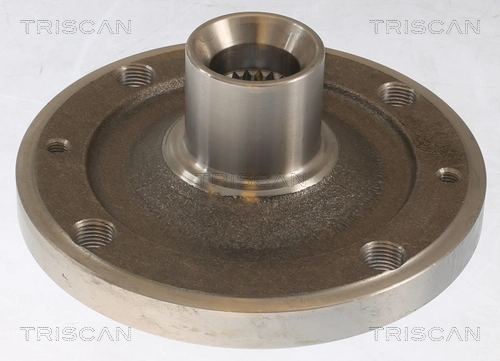 Butuc roata TRISCAN 853528000