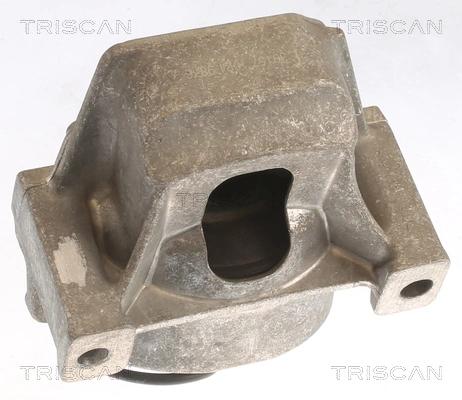 Suport motor TRISCAN 850529196
