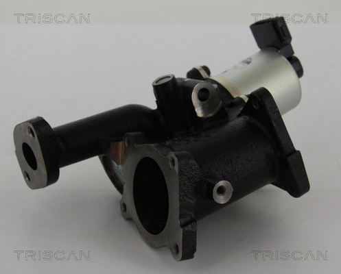Supapa EGR TRISCAN 881324101