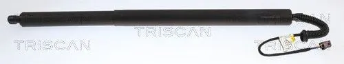 Amortizor portbagaj TRISCAN 871029333
