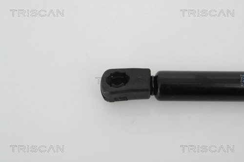 Amortizor portbagaj TRISCAN 871021205