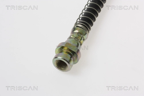 Furtun frana TRISCAN 8150 18166