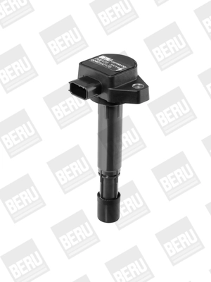 Bobina de inductie BorgWarner (BERU) ZSE170