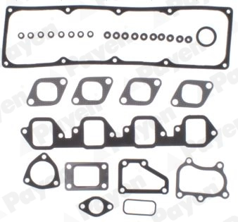 Set garnituri, chiulasa PAYEN CC5750