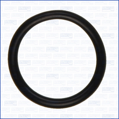 Garnitura termostat AJUSA 16084900