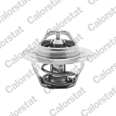 Termostat, lichid racire CALORSTAT by Vernet TH6045.89J