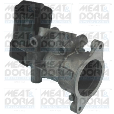 Supapa EGR MEAT DORIA 88117