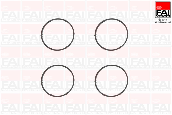 Set garnituri, galerie admisie FAI AutoParts IM1009