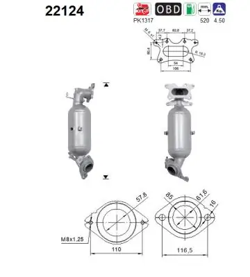 Catalizator AS 22124