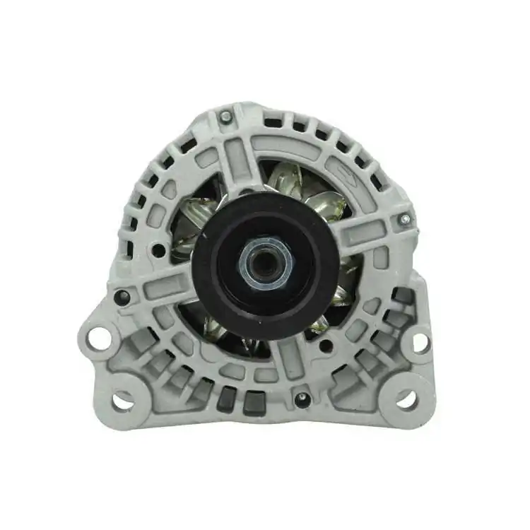 Generator/alternator BV PSH 305.517.090.010