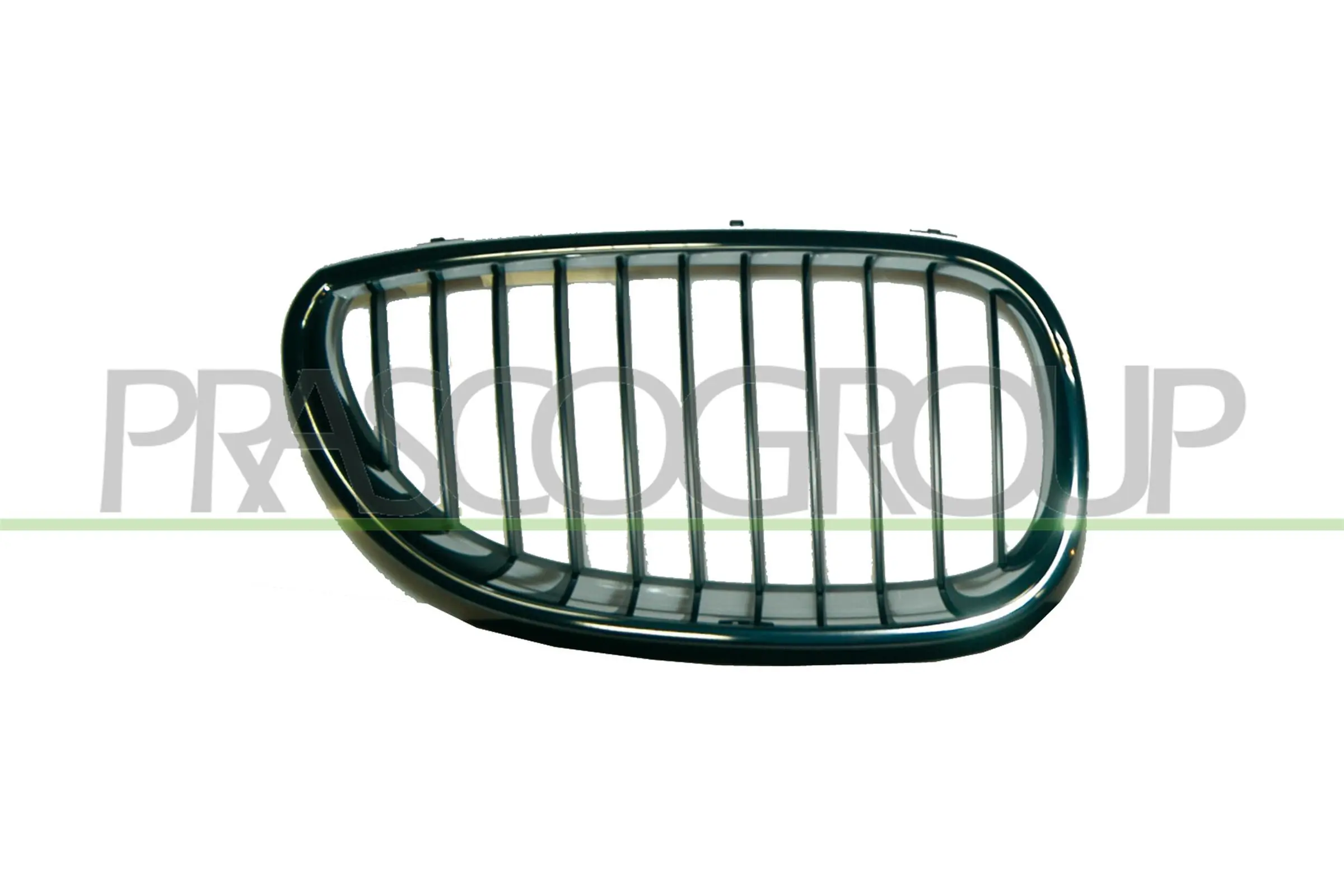 Grila radiator PRASCO BM0462003