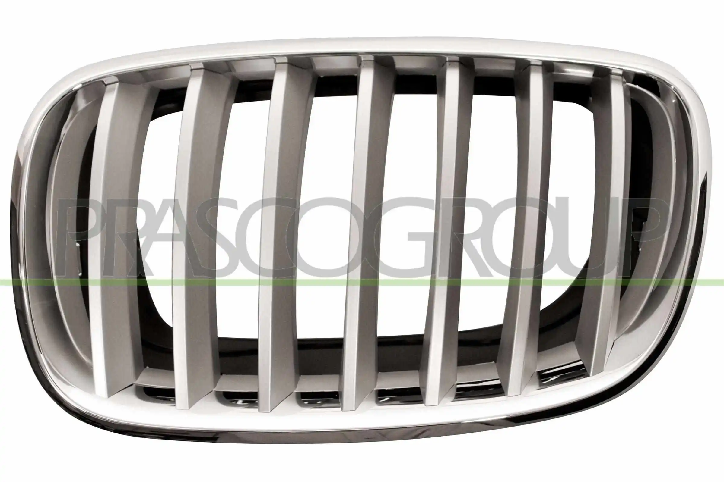 Grila radiator PRASCO BM8222014
