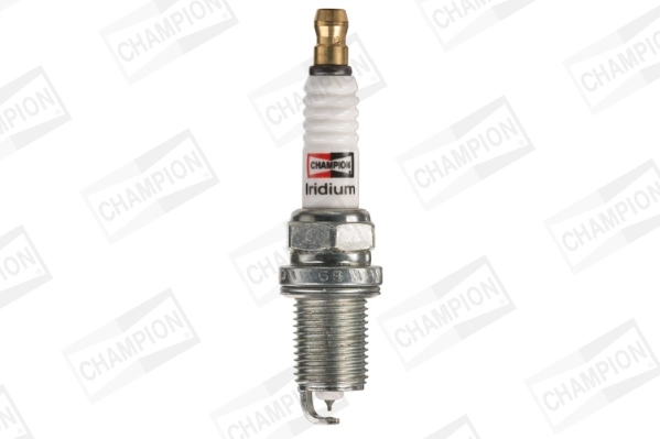 Bujie CHAMPION CCH9802