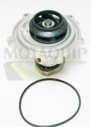 Pompa apa MOTAQUIP VWP683