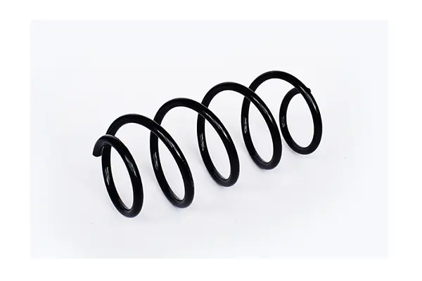 Arc spiral ASAM AUTOMOTIVE 73741