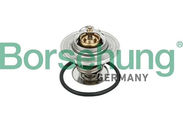 Termostat, lichid racire Borsehung B18281