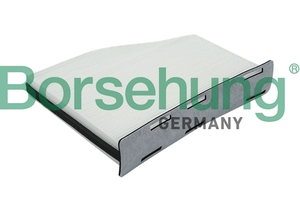 Filtru, aer habitaclu Borsehung B12798