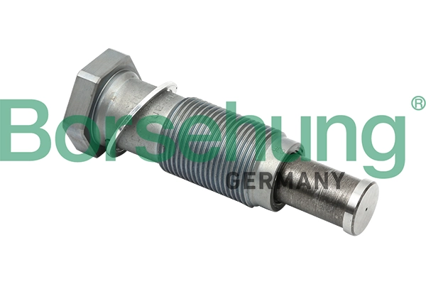 intinzator lant distributie Borsehung B1T012