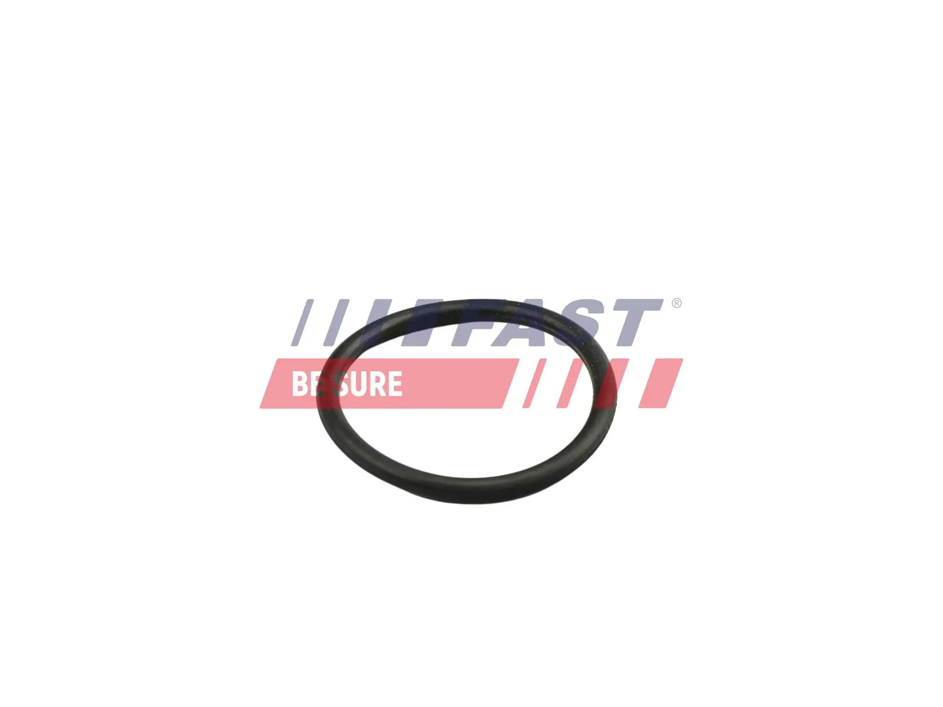Inel etansare, furtun lichid racire FAST FT49919