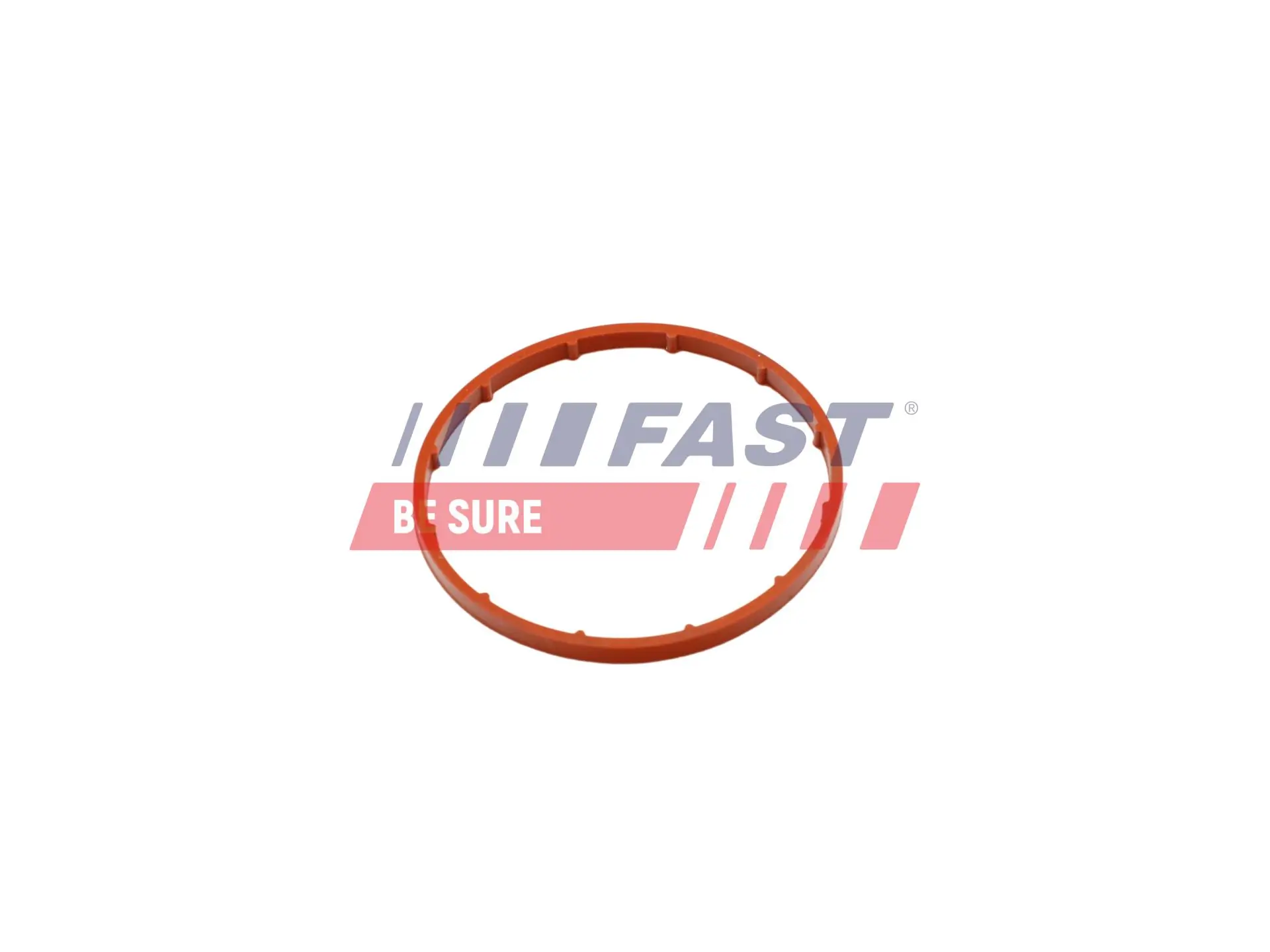 Garnitura, pompa vacuum FAST FT50701
