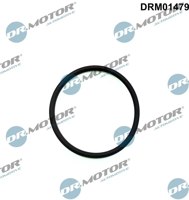 Garnitura, pompa injectie Dr.Motor Automotive DRM01479