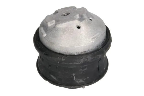 Suport motor REINHOCH RH11-3012