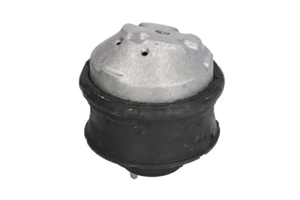 Suport motor REINHOCH RH11-3010