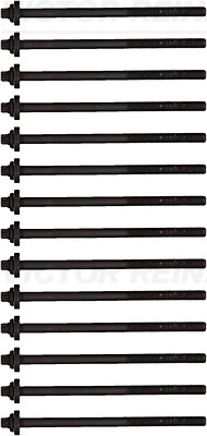 Set surub, chiulasa VICTOR REINZ 14-32311-01