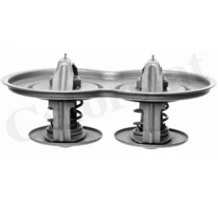 Termostat, lichid racire CALORSTAT by Vernet TH7117.80J