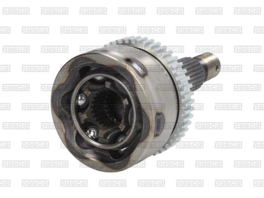 Set articulatie, planetara PASCAL G10356PC