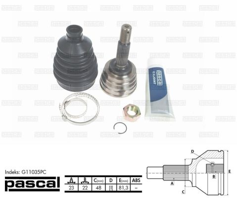 Set articulatie, planetara PASCAL G11035PC