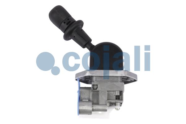 COJALI 2224539