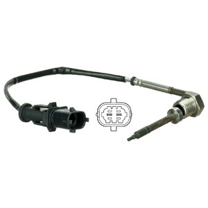 DELPHI TS30066